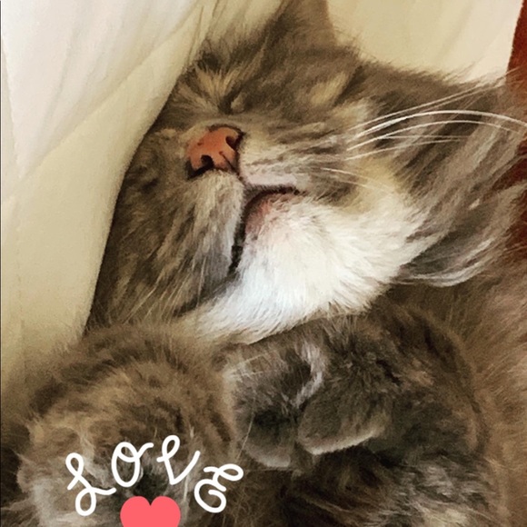 Meet your Posher, Cate - Picture 3 of 4